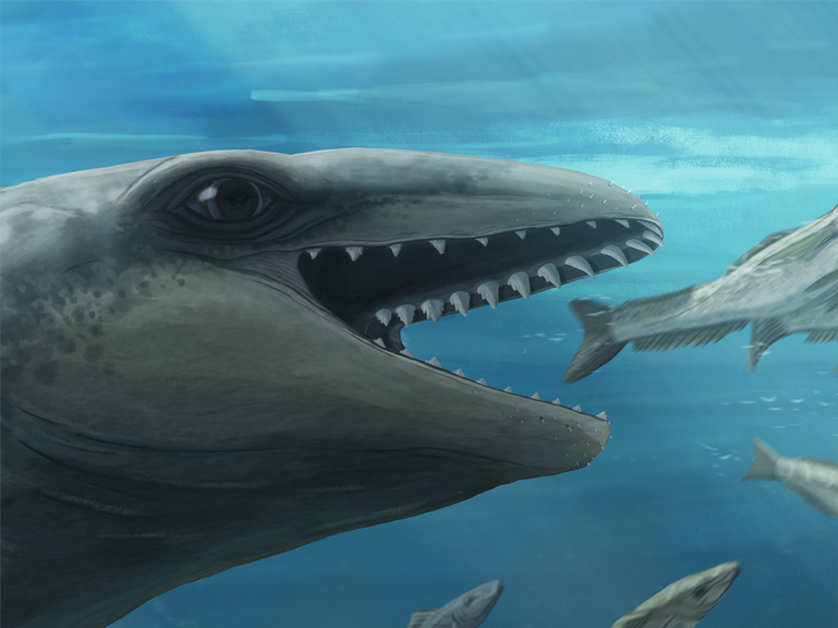 El fósil de ballena con dientes afilados es un antiguo pariente de las actuales.
