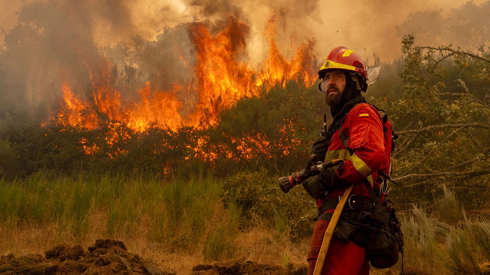 El riesgo de incendio aumentó 40% en el mundo.