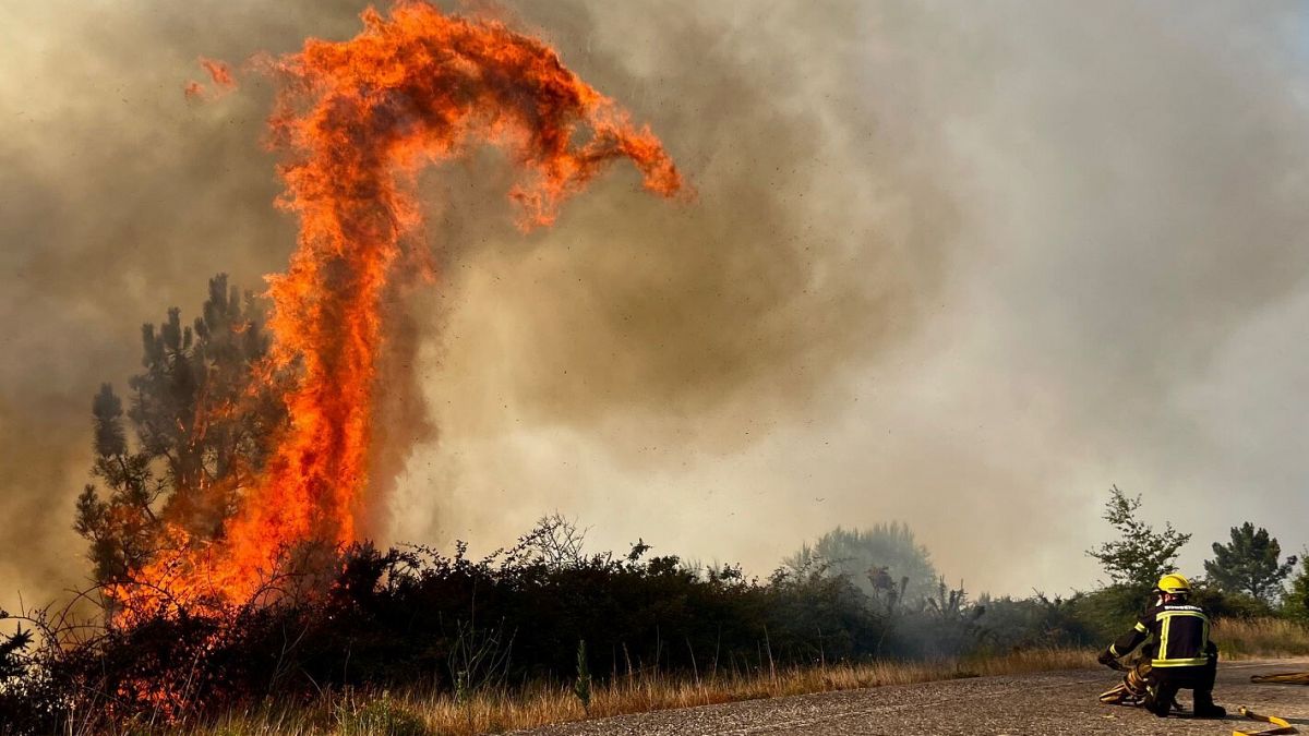 Esto es una causa directa del cambio climático.