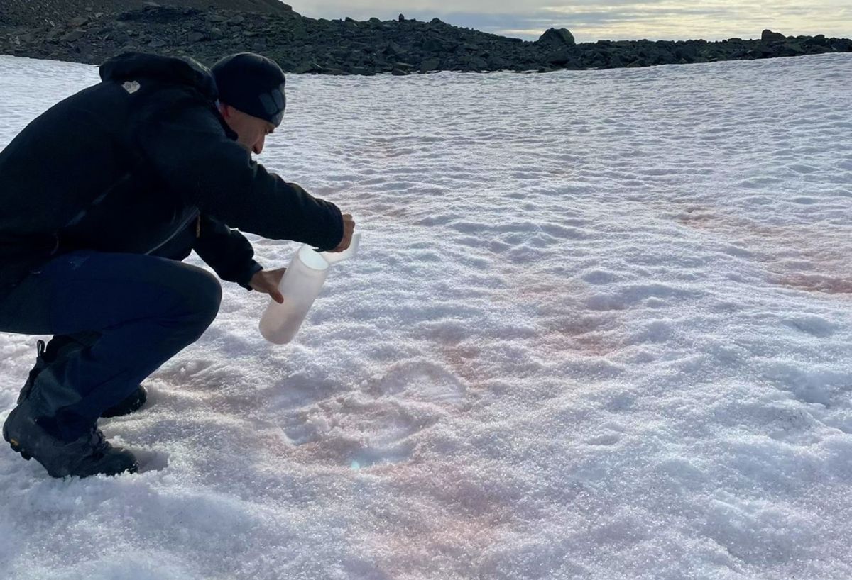 Este fenómeno acelera el deshielo.