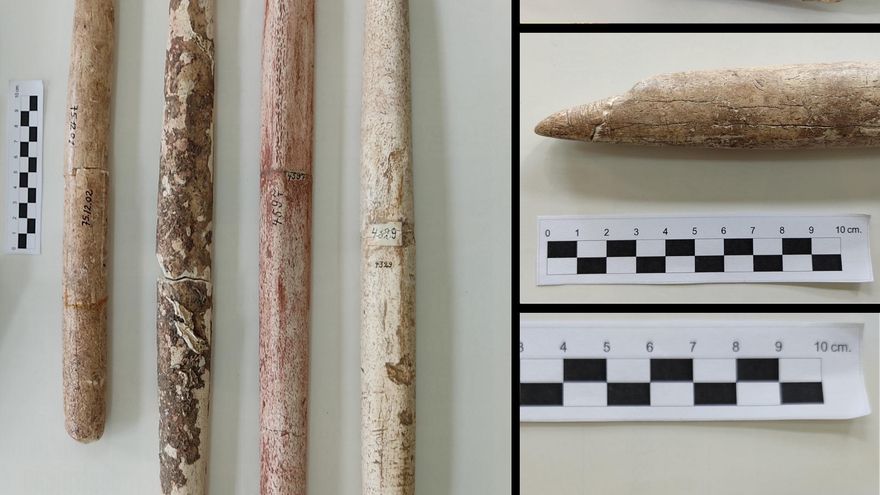 La caza de ballenas empezó en Sudamérica hace 5.000 años, mucho antes de lo que se creía.