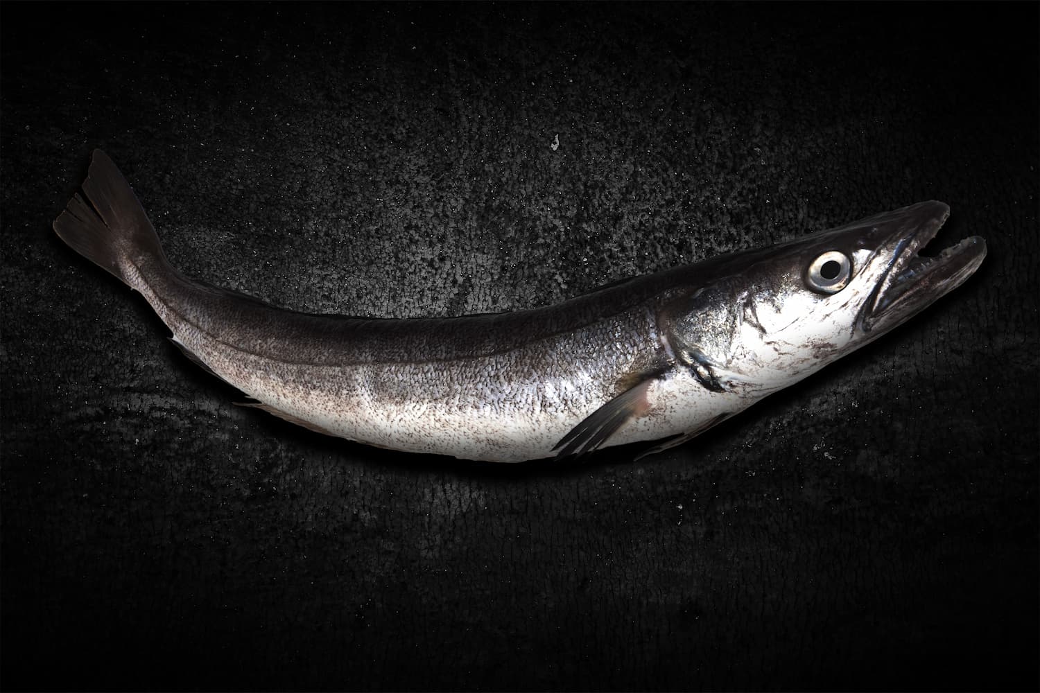 La edad de su madurez sexual está cambiando.