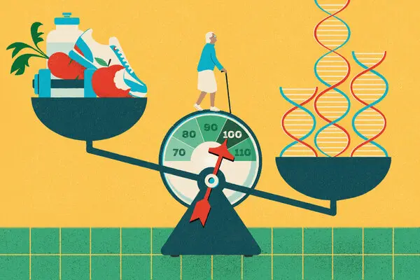 Los genes influyen en la longevidad, pero, ¿cuánto?
