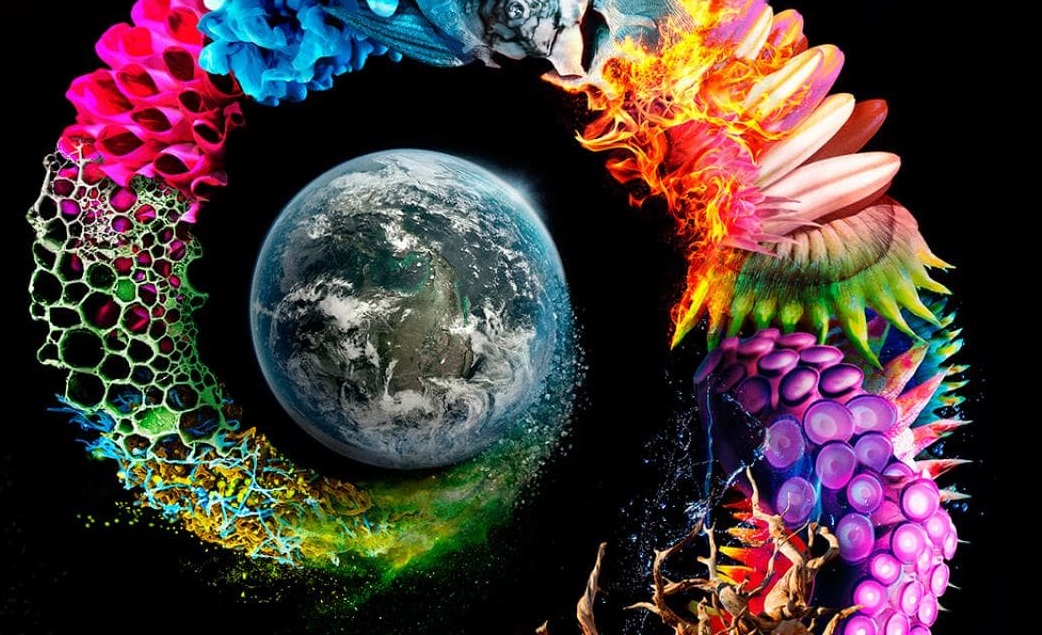 Sirve para rastrear el milagro de la vida en la Tierra.