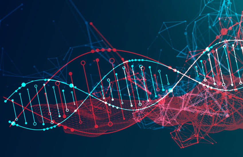 Esto ayudaría a entender ciertas enfermedades.