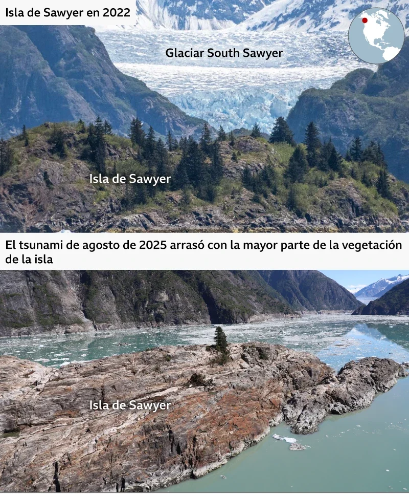 El tsunami arrasó la vegetación de la zona cercana.