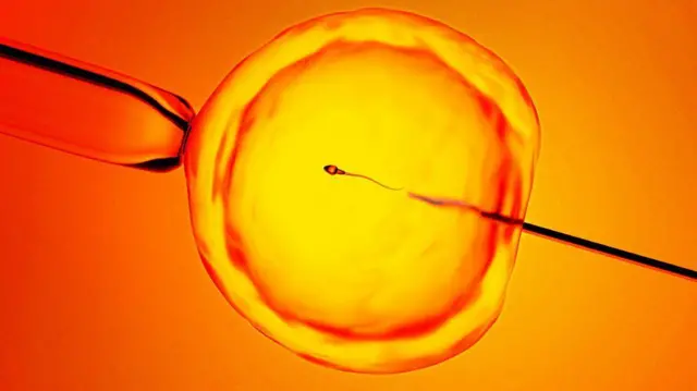 En hombres con azoospermia, podría haber un solo espermatozoide por muestra
