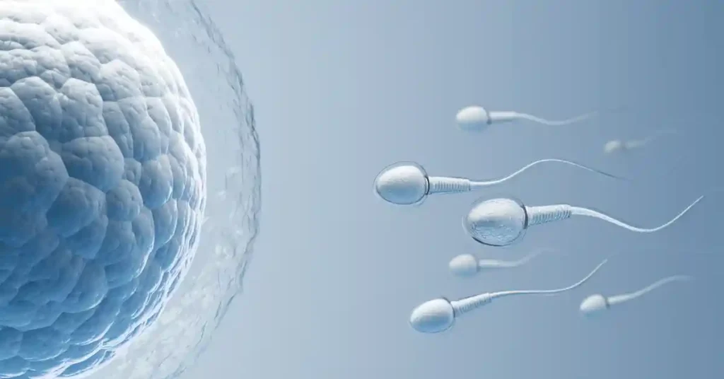 La técnica para hallar espermatozoides ocultos ayudaría a muchos con problemas de infertilidad.