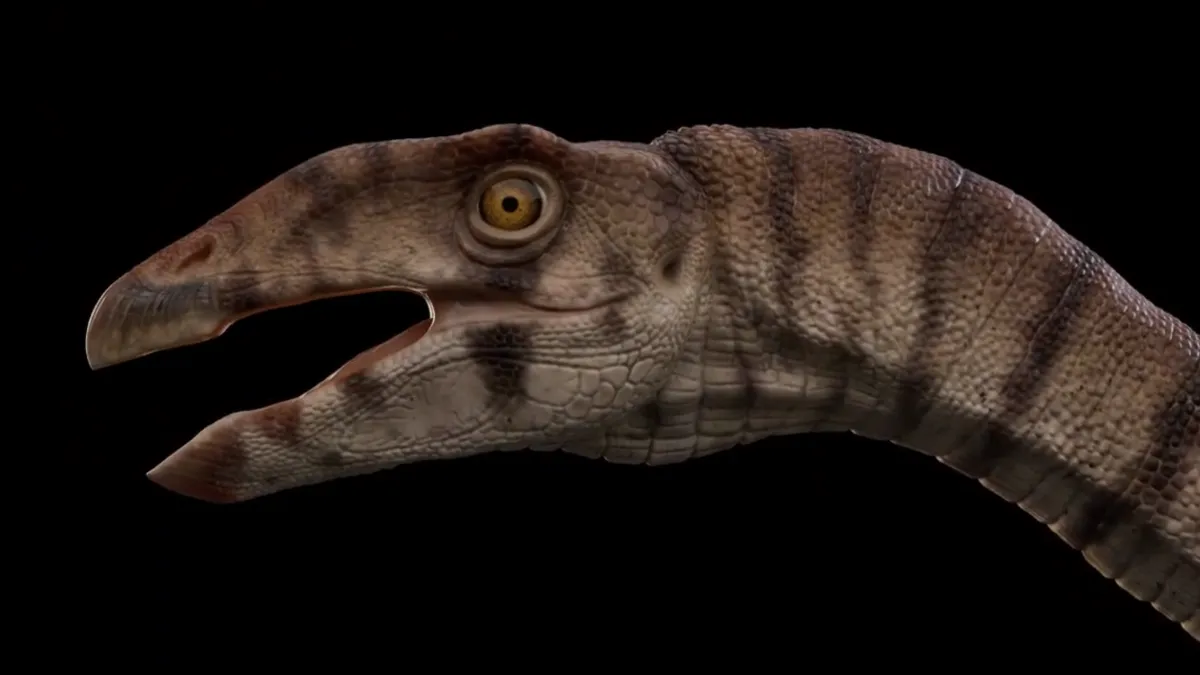 El pariente bípedo del cocodrilo es el Labrujasuchus expectatus.