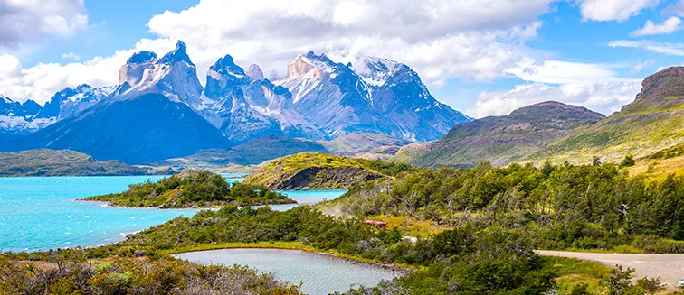 Fue encontrado en la Patagonia.