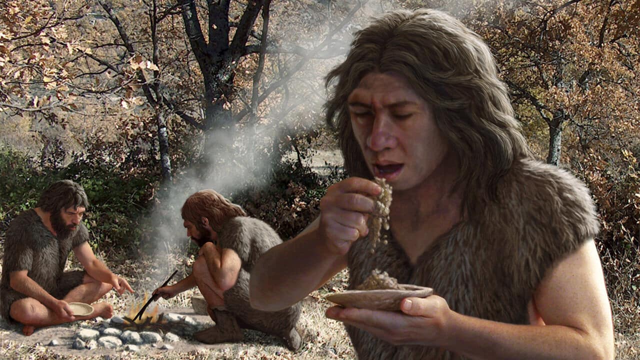 Los neandertales y su consumo de insectos fueron objeto de investigación.