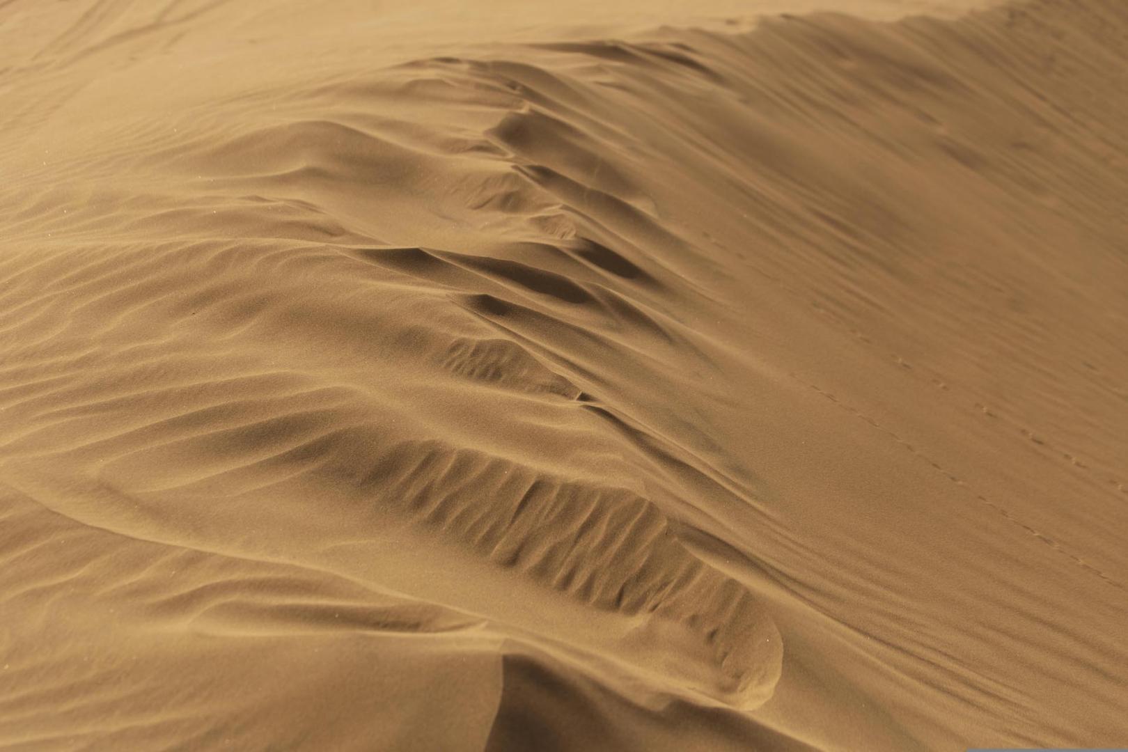 El cambio climático aumenta ese riesgo, al desertificar más áreas del mundo.
