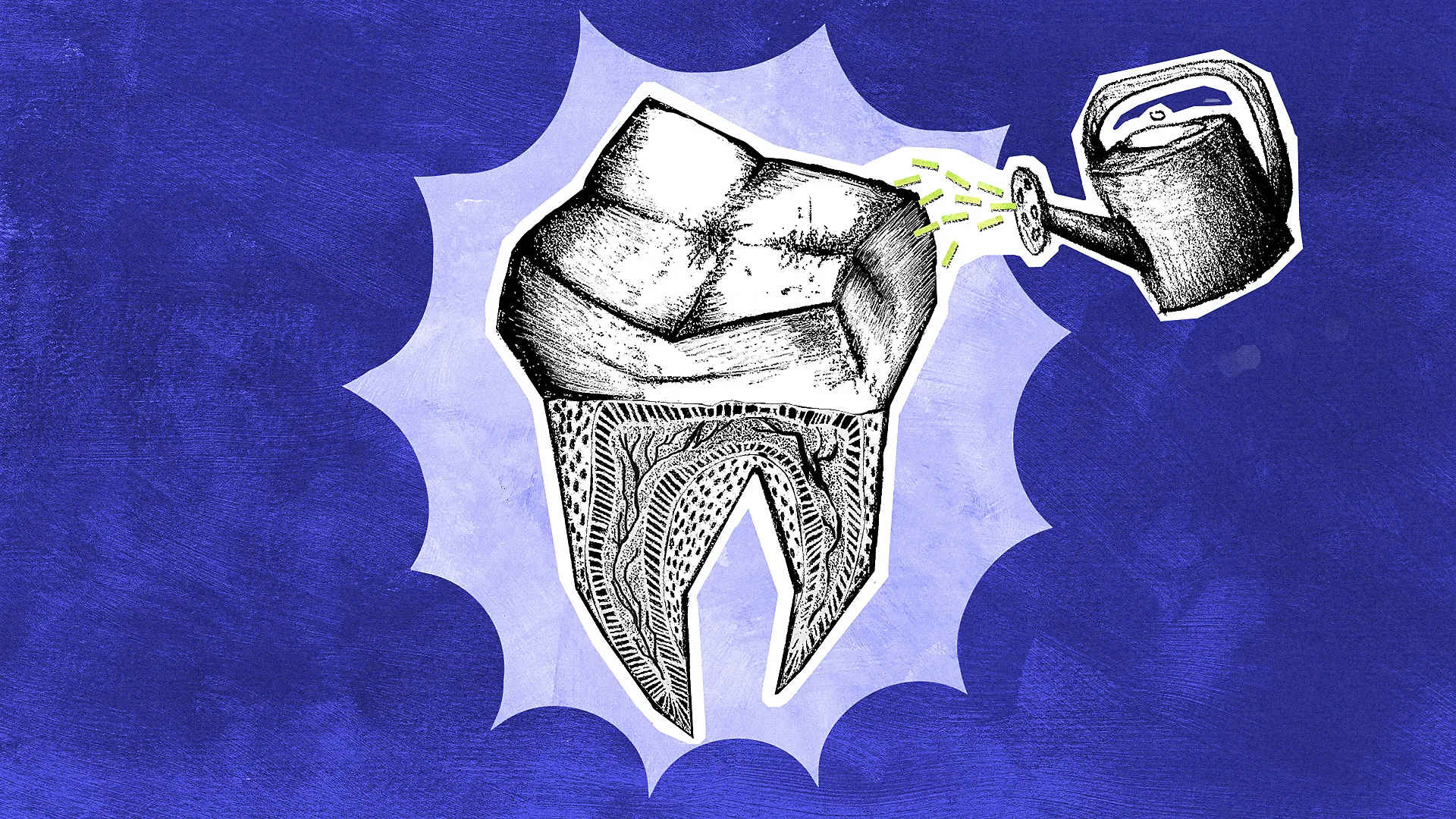 Los científicos que regeneran dientes hacen numerosos experimentos.jpg