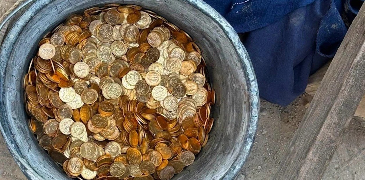 Los trabajadores decidieron avisar a las autoridades.