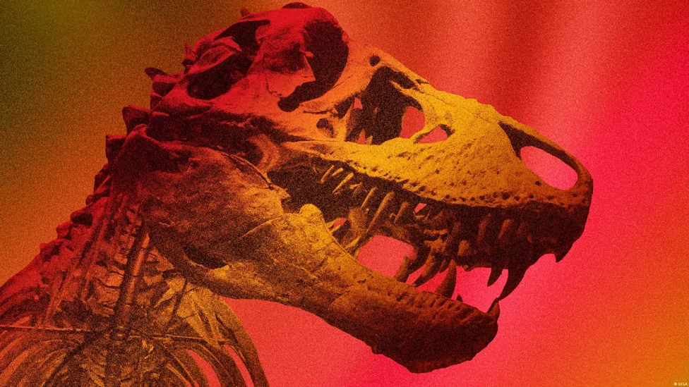 El T-Rex era de sangre caliente, según la ciencia.