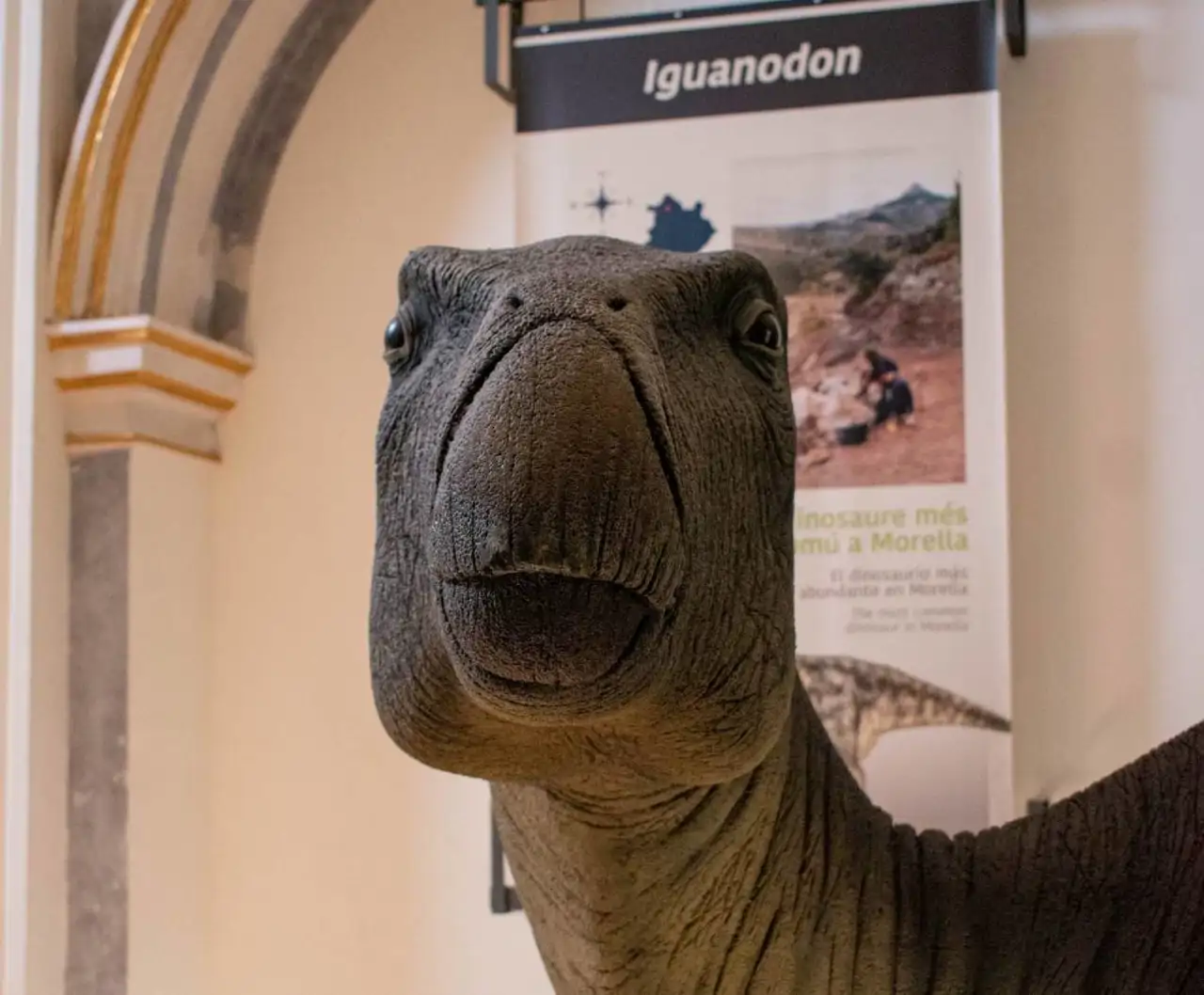 La primera infección bacteriana en dinosaurios salió a la luz en Morella.