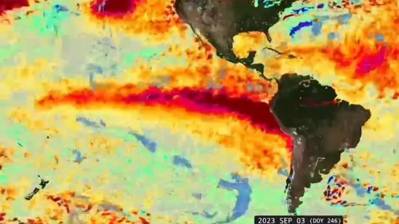 El fenómeno de El Niño hará que las picaduras sean más frecuentes.