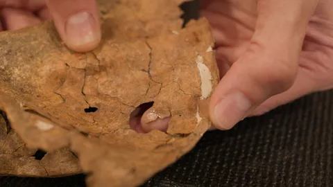 El primer neandertal muerto por lanza se ha identificado.