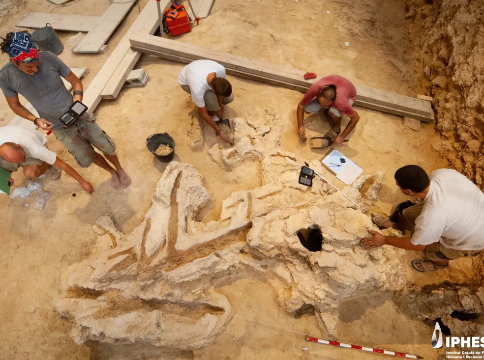 La investigación muestra la profunda conexión entre los neandertales y la madera.