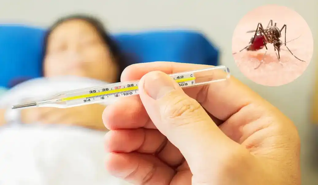 ¿Cuál es la relación entre El Niño y el dengue?